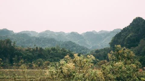 Green fields with luxurious mountain in the background, Thakhek loop, Laos Stock-Fotos
