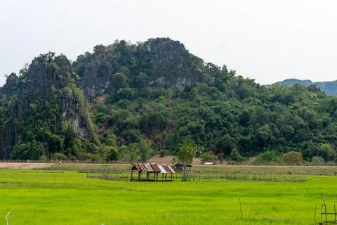Green fields with luxurious mountain in the background, Thakhek loop, Laos Stock Photos