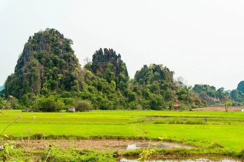 Green fields with luxurious mountain in the background, Thakhek loop, Laos Stock-Fotos