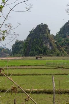 Green fields with luxurious mountain in the background, Thakhek loop, Laos Stock Photos