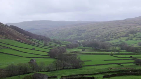 Green fields with mist 動画素材 273576891