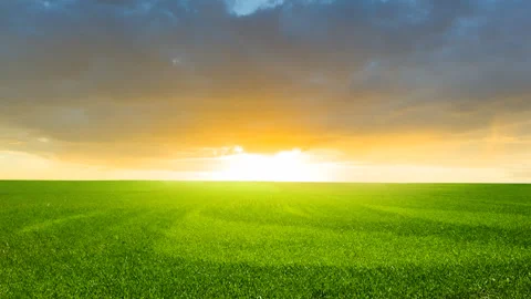 Green fields at the morning Stock Footage 329673189