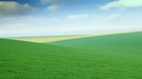 Green fields, motion with camera Stock Footage 39763754