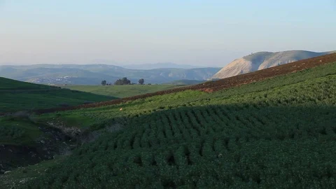 Green Fields In The Mountains 스톡 동영상 105222646