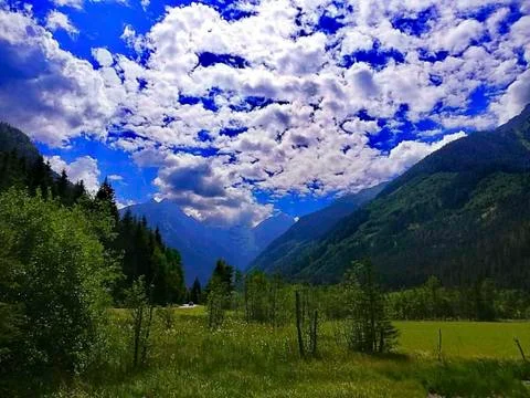 Green fields in the mountains Stock Photos