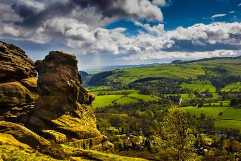 Green Fields Stockfoto's