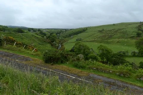 Green fields Foto stock