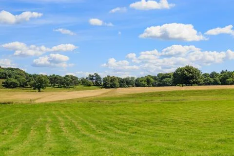 Green Fields Stock Photos
