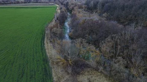 Green fields planted for winter Stock Photos