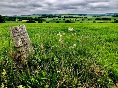 Green fields a plenty 스톡 사진