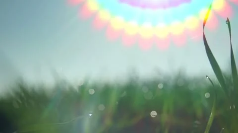 Green fields rainbow flare 스톡 동영상 10723114