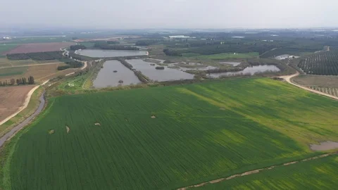 Green fields Reed and a Canal 스톡 동영상 125911299