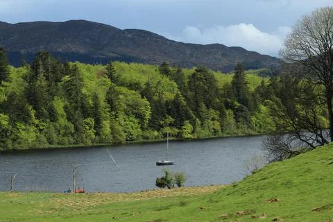 Green fields, river, forest and mountains in rural Ireland Foto stock