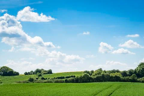 Green fields in rural environment in the spring Stock Photos