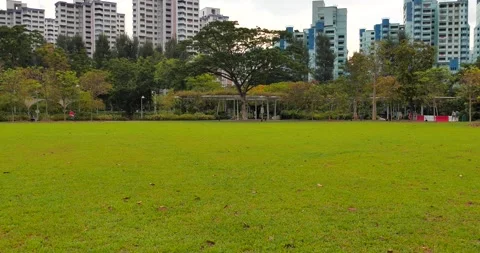 Green Fields Scene in Garden Stock Footage 158492429