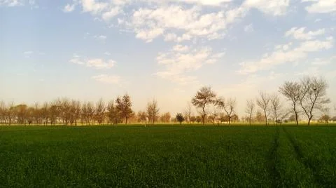 Green fields scenic view. Stock Photos