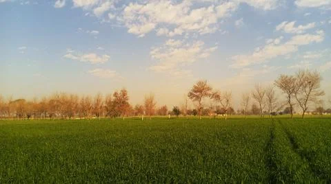 Green fields scenic view. Stock Photos