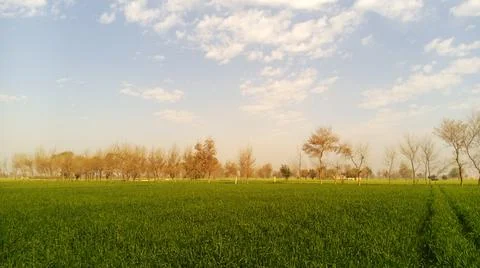 Green fields scenic view. Stock Photos
