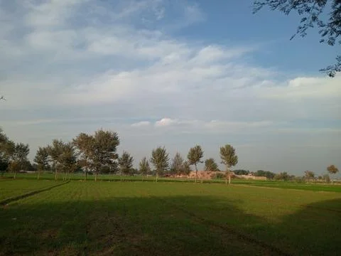 Green fields scenic view. Stock Photos