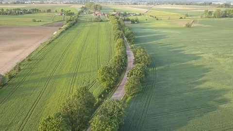 Green fields seen from above. Country road at warm light. Vídeos de archivo 108800239