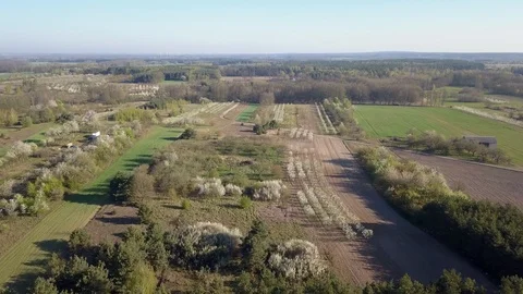 Green fields seen from above. Stock-Footage 106903474