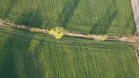Green fields seen from above. Stock Footage 106907136