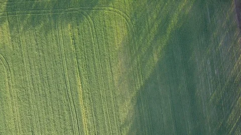 Green fields seen from above. Video stock 106907380