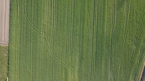 Green fields seen from above. 스톡 동영상 106908166