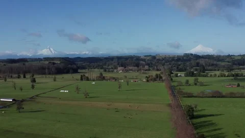 Green fields seen with drone countryside Stock Footage 249467971