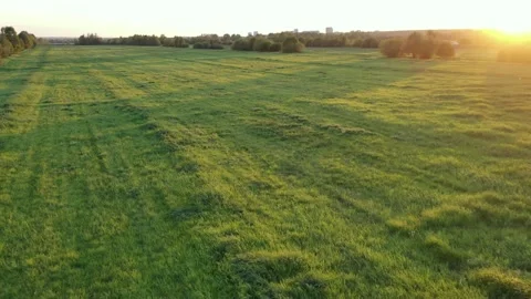 Green fields in the setting sun Stock Footage 167209705