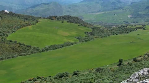 Green fields sicilian woods Stock Footage 51033545