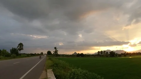 Green  fields on the side of a highway in Tamil Nadu, India 動画素材 118441322