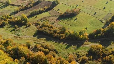 Green Fields on the Slope in the Carpathian Mountains. Hay Harvest Stock Footage 104047145