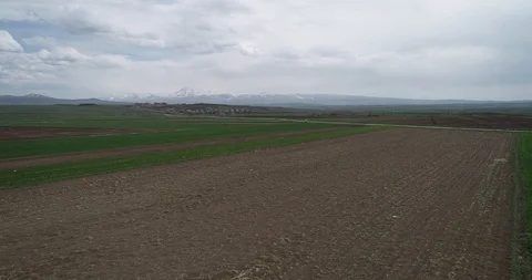 Green fields, snow mountains. Caucasus 4.19 172454 3 3. Video stock 91599748