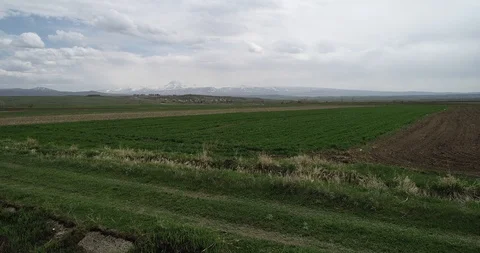Green fields, snow mountains. Caucasus 4.19 172454 3 1. Stock Footage 91599804