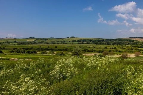 Green fields in the South Downs with a blue sky overhead Stock Photos