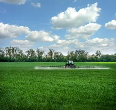 Green fields in the spring, sprayer fertilizes with fertilizers, rear view, f Stock Photos