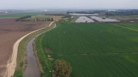 Green fields, Streaming canal and reed in background Video stock 125910132