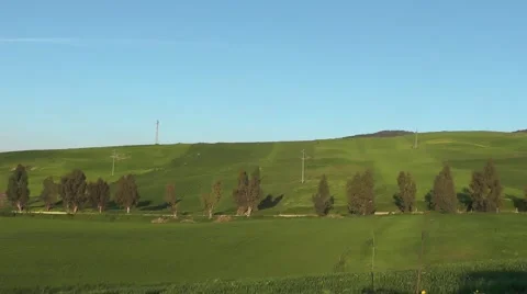 Green fields with a street and trees Stock Footage 49179904