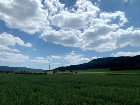 Green fields stretch across the land, while fluffy clouds drift in a bright.. Stock Photos