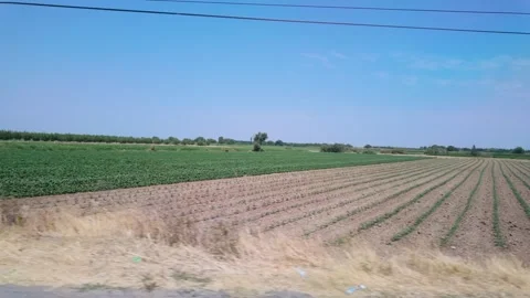Green fields stretch across the landscape under a clear blue sky in rural f.. Stock Footage 313635462