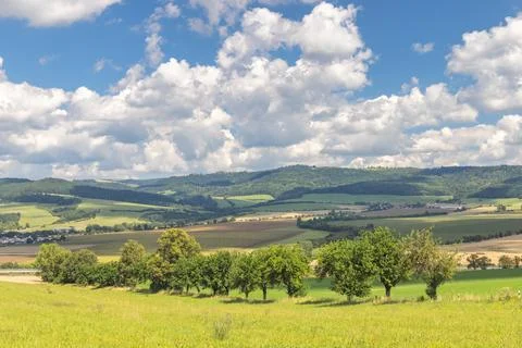 Green fields stretch toward forested hills under a bright, cloudy sky. Natu.. Stock Photos