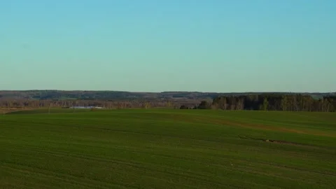 Green fields stretch under a clear sky in rural area during early evening in spr Stock Footage 335241192