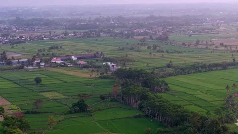 Green fields stretch wide under soft morning light Видео 345505767