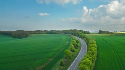 Green fields stretch wide under blue skies Видео 346852536