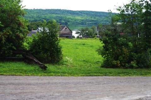 Green Fields in the summer Stock Photos