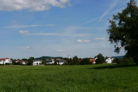 Green fields summer sun nature plants forest germany Stock Photos