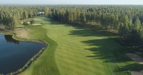 Green fields in summer sunny day, aerial view of golf course in forest area Stock Footage 121137616