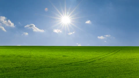 Green fields at the sunny day time lapse scene Stock Footage 248038990