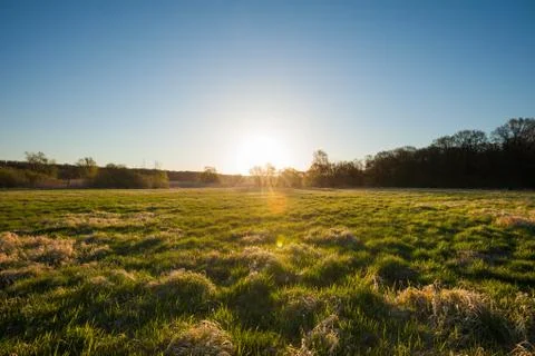 Green fields at sunrise Stock Photos
